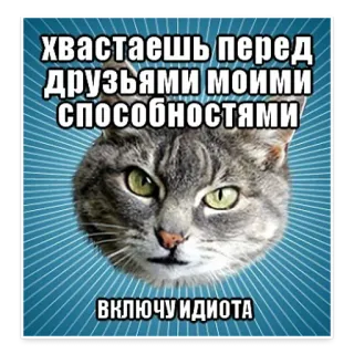 😕 хвастаешь перед друзьями моими способностями 
ВКЛЮЧУ ИДИОТА gato, meme, ruso, animal, mascota telegram sticker