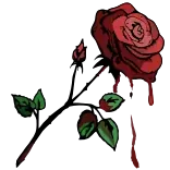 🌹