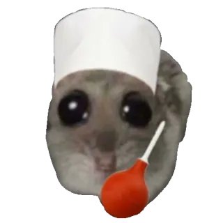 😷 햄스터, 간호사, 의사, 동물, 설치류, 귀여운, 의료 whatsapp sticker