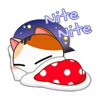 🛌 Nite Nite แมว, นอนหลับ, ราตรีสวัสดิ์, การนอนหลับ, สัตว์, น่ารัก, การ์ตูน telegram sticker