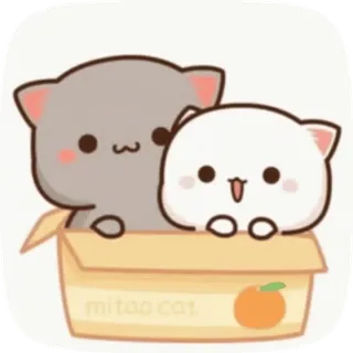 💫 mitoo cat gatto, gatti, cartone animato, kawaii, animale, scatola, carino telegram sticker