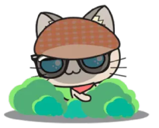 🙈 gato, óculos de sol, chapéu, animal, desenho animado whatsapp sticker