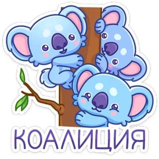 😒 КОАЛИЦИЯ コアラ, かわいい, 動物, ステッカー, 連合 telegram sticker
