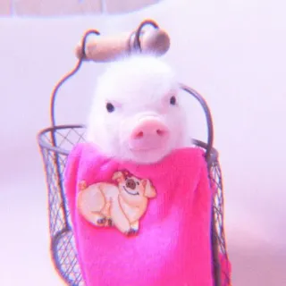 🐽 pig, animal, cute, pink, basket telegram sticker