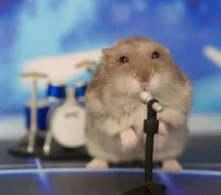 🎵 hamster, singing, microphone, animal, rodent, cute, drum set telegram sticker