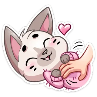 ❤️ gato, animal, fofo, coração, animal de estimação, desenho animado whatsapp sticker