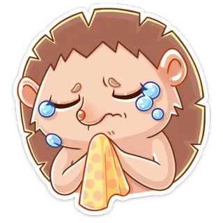 😥 hedgehog, crying, sad, tears, animal whatsapp sticker