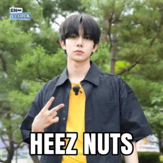 🥜 HEEZ NUTS meme, funny, joke, text, slang telegram sticker