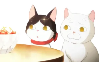 ❤️ kat, anime, schattig, cartoon, kers, witte kat, zwart-witte kat whatsapp sticker