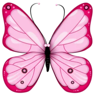 🐝 butterfly, pink, wings, insect, nature, cute whatsapp sticker