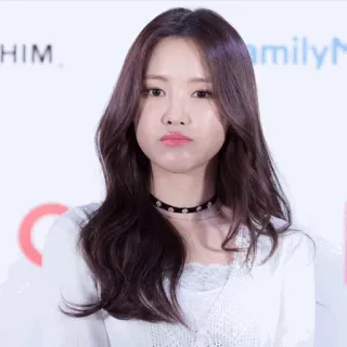 🦄 telegram sticker