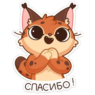 🥺 СПАСИБО! Luchs, Danke, Süß, Tier, Cartoon whatsapp sticker