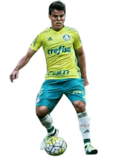 👤 crefisa calcio, calcio, atleta, sport, Palmeiras telegram sticker