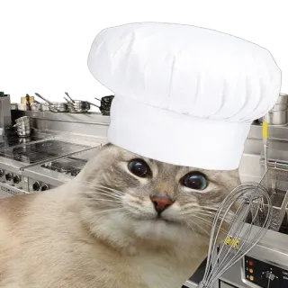 🍳 cat, chef, cooking, kitchen, hat, whisk, animal telegram sticker