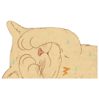 ✨ cat, exhausted, sleepy, cartoon, sweat telegram sticker