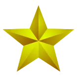 🌟