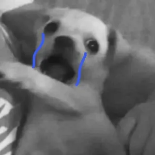 😂 cane, piangendo, triste, animale, lacrime telegram sticker