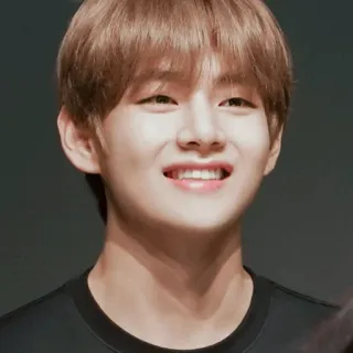 😊 pessoa, kpop, retrato, homem, idol, asiático telegram sticker