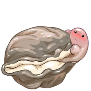 😊 palourde, huître, mignon, dessin animé, coquille, animal telegram sticker