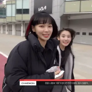 🐯 Chaewon 정말 나중에 기회가 된다면 한번 타봐도 좋지 않을까... Korean, person, female, Chaewon telegram sticker