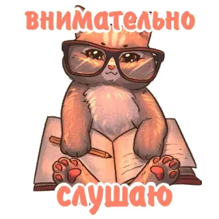 Kittens @stickersb2b whatsapp stickers