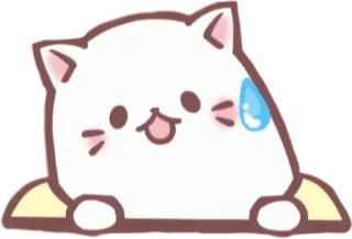😅 고양이, 스티커, 땀, 긴장, 귀여운, 카와이 telegram sticker