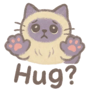 🐈‍⬛ Hug? chat, câlin, mignon, animal, animal de compagnie whatsapp sticker