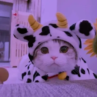 🐈 猫, 牛, 動物, コスチューム, かわいい telegram sticker