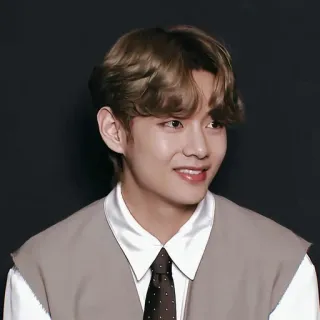 🐯 Orang, Pria, Penyanyi, Selebriti, K-pop telegram sticker