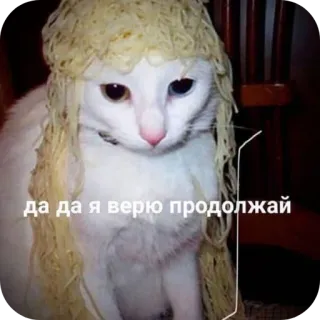 🐱 да да я верю продолжай chat, nouilles, drôle, mème, animal, russe telegram sticker