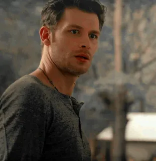 🧁 Klaus Mikaelson The Vampire Diaries vampire, tv show, supernatural, Klaus, Mikaelson telegram sticker