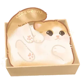 🐾 kafebeans. 猫, 箱, かわいい, 動物, 子猫, ペット telegram sticker