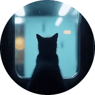 🤩 고양이, 기차, 창문, 실루엣, 동물, 밤 telegram sticker