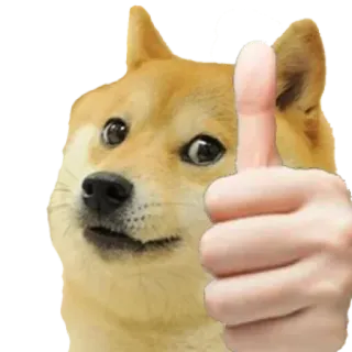 👍 Doge doge, hond, meme, dier, duim omhoog, goedkeuring, grappig telegram sticker