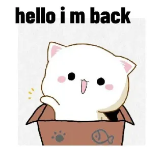 👋 hello i m back 猫, 挨拶, こんにちは, 可愛い, 箱 whatsapp sticker