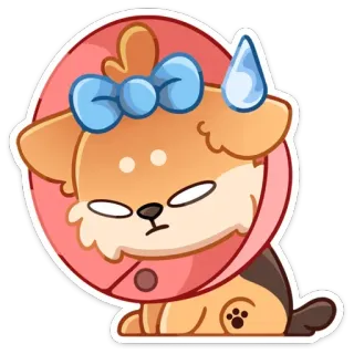 😅 chien, cône, triste, mignon, chiot, animal, autocollant telegram sticker