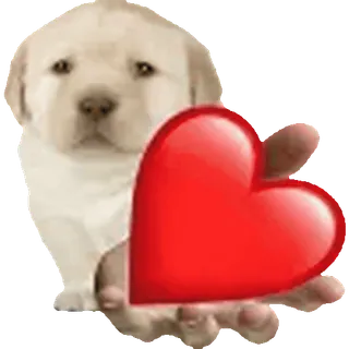 🥰