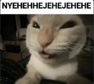 🌟 NYEHEHHHEJEHEJEJEHEHE gato, meme, engraçado, animal, animal de estimação, humor telegram sticker