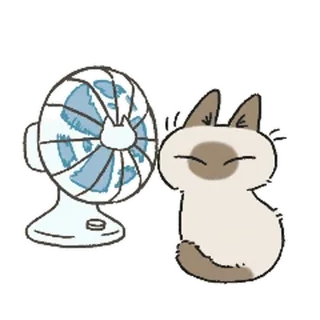 💨 chat, fan, dessin animé, animal, mignon, siamois whatsapp sticker