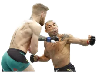 💥 lucha, MMA, deportes, confrontación, boxeo telegram sticker