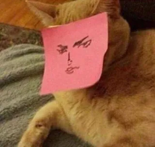 😎 gatto, adesivo, disegno, faccia, animale, animale domestico telegram sticker