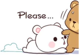☹️ Please... 귀여운, 곰, 애원하는, 간청하는 telegram sticker