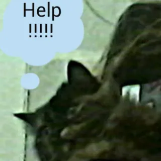 😭 Help !!!!!! gato, ajuda, angústia, animal, animal de estimação, engraçado telegram sticker