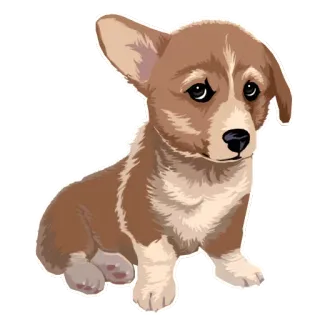 🐶 chó, chó con, dễ thương, corgi, động vật, thú cưng telegram sticker