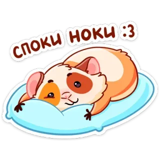 😴 СПОКИ НОКИ :3 หนูตะเภา, สัตว์, น่ารัก, หมอน, พักผ่อน, นอนหลับ, การ์ตูน telegram sticker