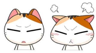 😤 enojado, gato, sticker, dibujos animados, lindo, expresión telegram sticker