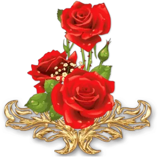 🌹 flower, roses, red, bouquet, floral whatsapp sticker