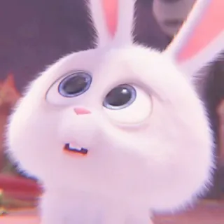 🐰 Snowball The Secret Life of Pets conejo, conejito, lindo, animal, mascota, dibujos animados, película telegram sticker