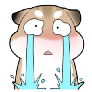 😭 плачет, грустный, хомяк, эмодзи, мультик, слёзы whatsapp sticker