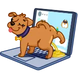 😈 สุนัข, แล็ปท็อป, ตลก, สัตว์, สัตว์เลี้ยง, การ์ตูน telegram sticker
